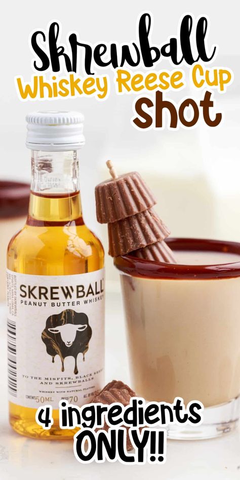 Skrewball Whiskey Reese Cup Shots are filled with delicious flavors of chocolate, peanut butter, and the warmness of whiskey. Only 4 ingredients needed for the perfect party drink! Skrewball Whiskey Shot Recipes, Reeses Peanut Butter Cup Shots, Chocolate Peanut Butter Shots, Shots With Peanut Butter Whiskey, Peanut Butter Shots Alcohol, Butter Ripple Schnapps Shots, Screwball Whiskey Shots, Yummy Shots Alcohol, Screwball Shots