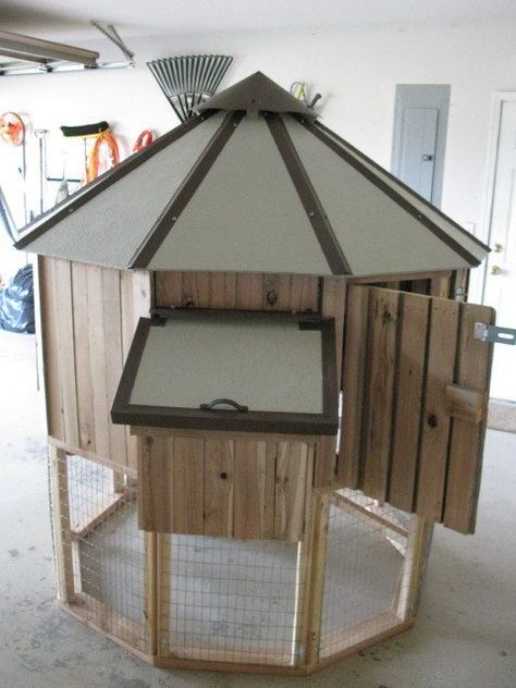 Round Chicken Coop, Chicken Coop With Metal Roof, Tin Roof Chicken Coop, Chicken Coop Metal Roof, Board And Batten Siding Chicken Coop, Chicken Coop Plans For 8-10 Chickens, Acre Homestead, Rhode Island Red, Backyard Poultry