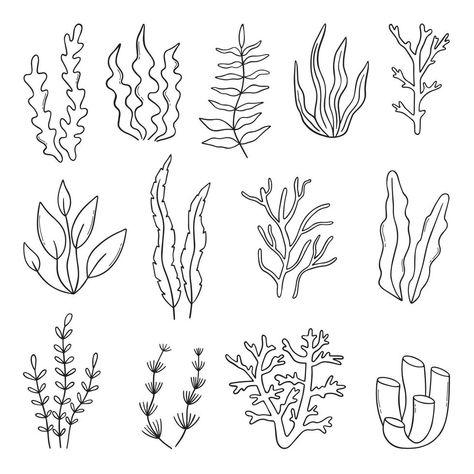 Coral Reef Drawing, Coral Tattoo, Coral Drawing, Underwater Drawing, Ocean Plants, Helloween Wallpaper, Plant Doodle, Ocean Drawing, Sea Drawing