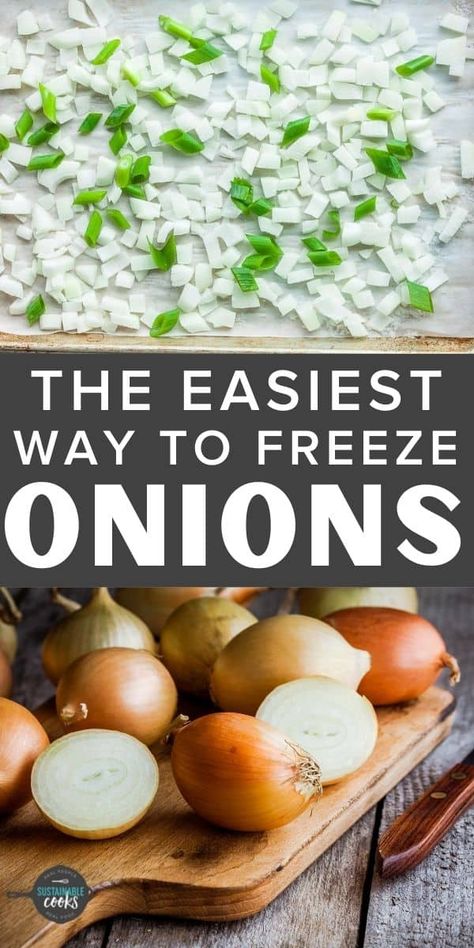 Learn all the tips and tricks for freezing onions to save time and money. Learning how to freeze onions (diced, green, sliced, rings, and whole) is a great way to preserve this delicious staple of so many recipes. Freeze Onions, Freezing Onions, Freeze Fruit, Homemade Pot Pie, Freeze Food, Types Of Onions, Freezing Vegetables, Freezing Food, Freezer Food