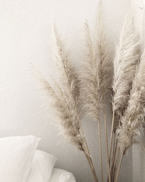 Photo Bleu, Grass Decor, Pampas Grass Decor, Deco Nature, 背景 シンプル, Natural Home Decor, Cool Ideas, Easy Home Decor, Décor Diy