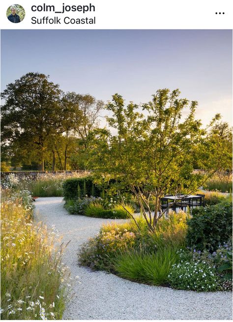 Naturalistic Landscape, Naturalistic Planting, Converted Barns, Suffolk Countryside, Grass Planting, Contemporary Gardens, Naturalistic Garden, Limestone Pavers, Decomposed Granite