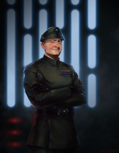 Imperial Officer Art, Imperial Officer Star Wars, Star Wars Imperial Officer, Star Wars Ffg, Star Wars 5e, Star Wars Soldier, Shadow Man, Imperial Officer, Star Wars The Empire