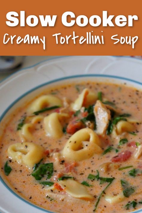 Spinach And Chicken Soup, Creamy Tortellini, Spinach Tortellini Soup, Chicken Tortellini Soup, Tortellini Recipes, Chicken Gnocchi Soup, Spinach Soup, Easy One Pot Meals, Soup Recipes Slow Cooker