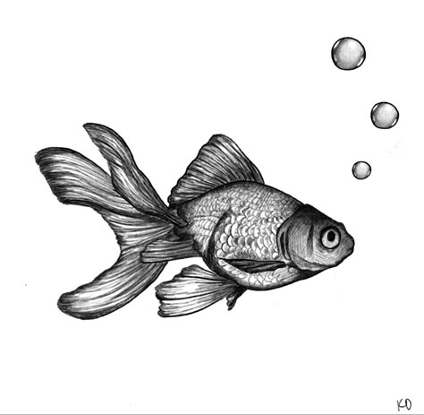 Random Tattoo Ideas, Goldfish Tattoo, Bike Tattoo, Bike Tattoos, Tattoo Practice, Ocean Tattoos, Hand Poke, Fish Fish, Tattoo S