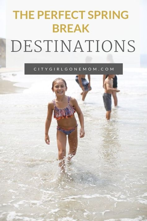 Spring Break Vacation Destinations.  Taking your kids to on vacation for spring break is a no brainer, so choose a destination where they’ll learn, have fun and bond with family! Ideas for travel destinations, things to do with kids, family activities, places to see and family attractions, and more! Ideas for family vacations in Colorado, California, and other US destinations.  #familyvacation #springbreak   #disneyland #disneyaulani #colorado #sandiego #springbreakdestinations Bond With Family, San Diego Travel Guide, Spring Break Kids, Spring Break Vacation, Family Travel Photography, Spring Break Vacations, Vacations In The Us, Travel Destinations Photography, Travel Destinations Usa