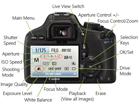 Photography SOS - Getting to know your camera controls | Annie's Noms Beginner Photography Camera, Camera Hand Strap, Manual Photography, Digital Photography Lessons, Dslr Photography Tips, Photography Settings, Photography Hacks, Film Photography Tips, Photography Cheat Sheets