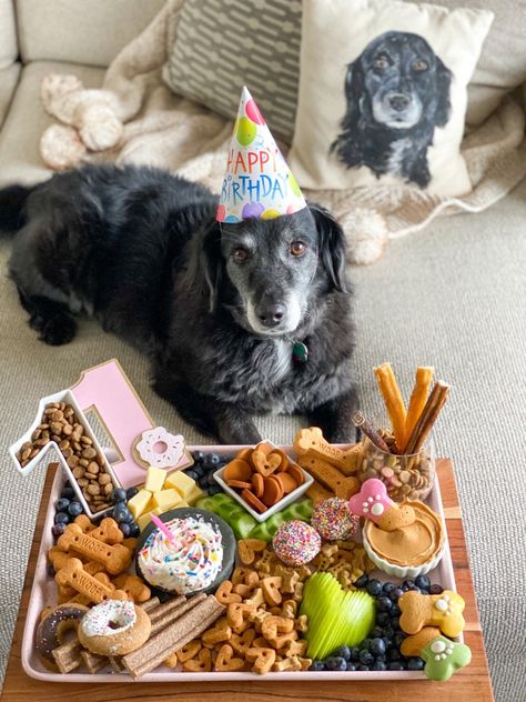 Dog Tea Party, Pet Party Ideas For Dogs, Dog Charcuterie Board, Dog Birthday Party Pets, Dog Bday, Dog First Birthday, Puppy Birthday Parties, Dog Birthday Gift, Dog Cafe