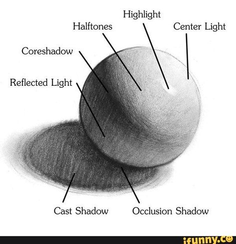 Halftones Center Light Coreshadow \ Cast Shadow Occlusion Shadow - iFunny :) Shading Techniques, Charcoal Drawings, Paint Projects, 3d Drawings, Charcoal Drawing, Drawing Skills, Drawing Lessons, Chiaroscuro, Drawing Tutorials