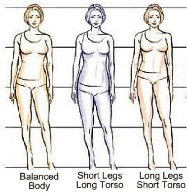 Human Torso Reference, Short Legs Outfit, Short Legs Long Torso, Force Fields, Human Torso, Short Waisted, Hourglass Body Shape, Legs Outfit, Image Consulting