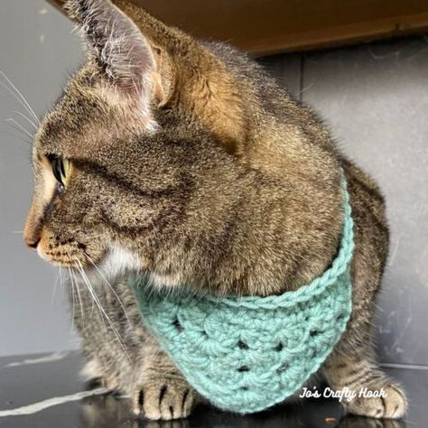 Pet Bandana Free Crochet Pattern · Jo's Crafty Hook Pet Crochet Patterns Free, Crochet Pet Bandana Pattern, Crochet Pet Bandana, Crochet Bandana For Dogs, Crochet Cat Bandana Free Pattern, Quick Crochet Bandana, Cat Bandana Crochet Pattern, Knit Bandana Pattern, Cat Bandana Pattern