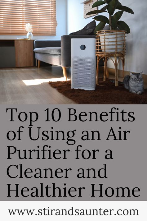 Top ten air purifier benefits Air Purifier Aesthetic, Air Purifier Benefits, Diffuser Benefits, Honeywell Air Purifier, Homemade Detergent, Best Air Purifier, Room Air Purifier, Natural Air Purifier, Car Air Purifier