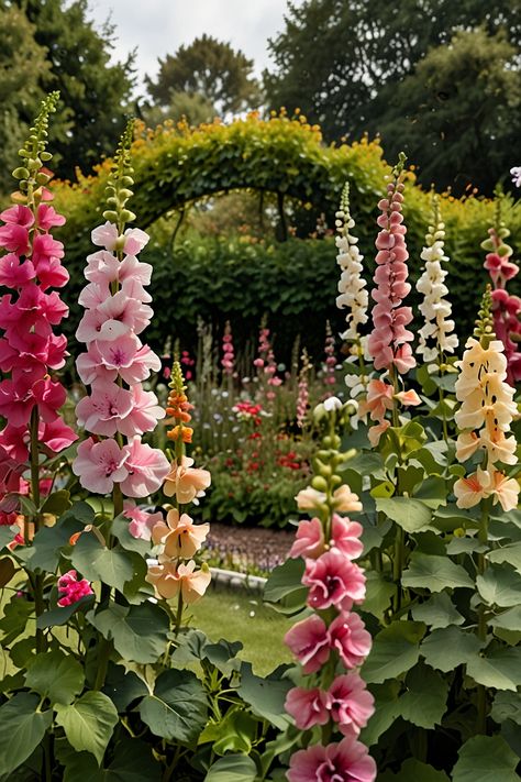 14 Best Flowers For English Garden British Garden Aesthetic, British Flower Garden, Classic English Garden, Spring Flower Garden Ideas, English Summer Garden, Bush Flowers, Cottage Garden Planting Scheme, Pink Flowers Garden, English Garden Aesthetic