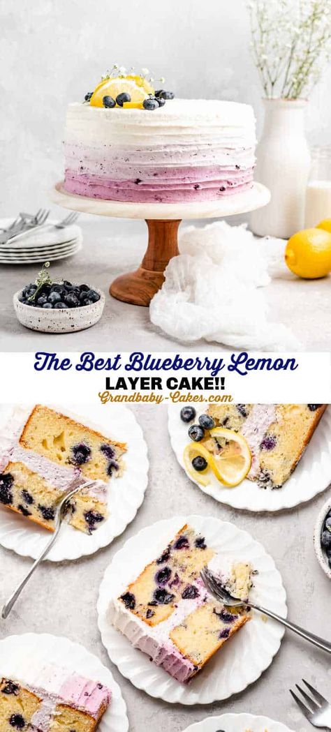 Blueberry Gender Reveal Cake, Lemon Blueberry Cake Design, Mini Lemon Blueberry Cake, Blueberry Lemon Birthday Cake, Rustic Lemon Cake, Lemon Cake With Blueberry Filling, Lemon Blueberry Birthday Cake, Lemon Blueberry Cake Decoration, Blueberry Cake Design