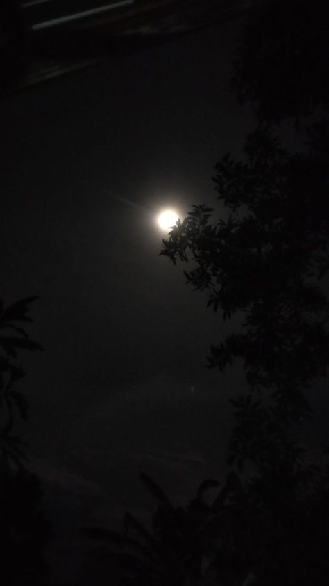 Moon Pics Night Real, Moon Aesthetic Video, Sky Moon Aesthetic, Night Sky Moon, Blue Moon Photography, Night Sky Photography, Moon Aesthetic, Sky Photography Nature, Look At The Moon