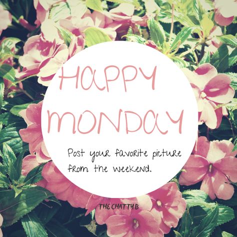 Monday posting to engage more followers. #thechattyb #mondaymotivation #followers #blogger #mommyblogger #lifestyleblogger #mondaymood #mondaymorning #postapic #fun Fun Interactive Facebook Posts Monday, Facebook Engagement Posts Monday, Monday Mary Kay Post, Monday Social Media Engagement, Interactive Posts Facebook Monday, Monday Engagement Posts Social Media, Monday Facebook Interaction Posts, Monday Scentsy Post, Scentsy Monday Posts