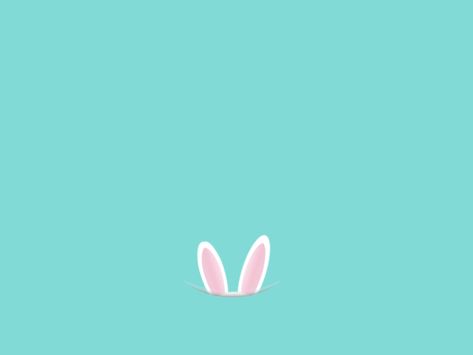 Funny Happy Easter, Happy Easter Videos, Easter Happy, Easter Video, Happy Ester, Easter Funny, Easter Animation, Happy Easter Animated, Easter Cute Illustration