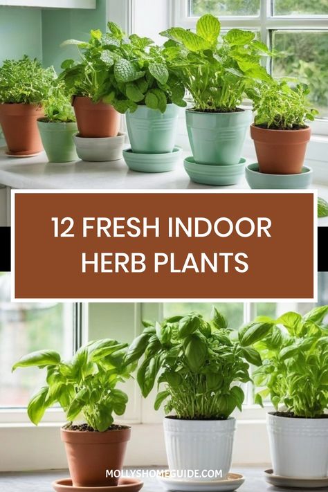 Discover the best indoor herb plants that thrive inside with these indoor gardening tips. Learn how to grow herbs indoors, including the 10 best herbs to grow in an indoor herb garden. Explore creative indoor herb garden ideas like growing herbs in water or planting compatible herbs together in a pot. Enhance your cooking with fresh flavors by cultivating the best herbs to grow indoors right at home. Grow Your Own Herbs Indoors, Herbs Inside The House, Dining Room Herb Garden, Herb Gardens In Pots, Growing Herbs Indoors With A Grow Light, Small Kitchen Herb Garden, Diy Herb Planter Indoor, Kitchen Garden Ideas Indoor Plants, Grow Herbs In Kitchen