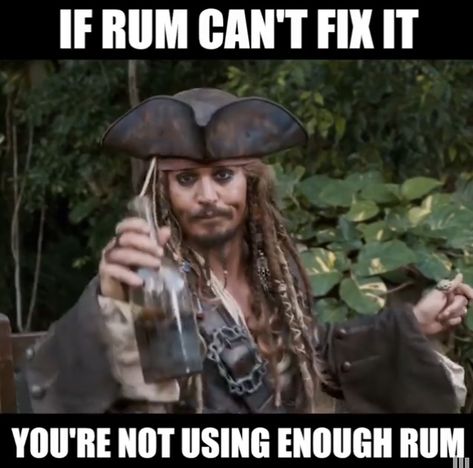 Rum Quotes, Sparrow Quotes, Jack Sparrow Funny, Captain Jack Sparrow Quotes, Jack Sparrow Quotes, Funny Mean Quotes, Ice Chest, Captain Jack Sparrow, Oak Island