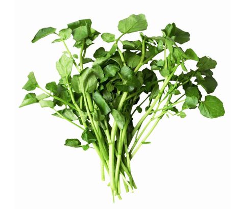 10 powerhouse greens you should be eating more of Grow Watercress, Tortoise Diet, Nutrition For Runners, Nutrient Dense Foods, Running Nutrition, Healthy Lungs, Window Garden, 2 Week Diet, Fitness Facts