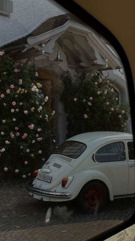 beetles #oldtimer #vintage Vw Beetle Classic Aesthetic, Beatles Vintage, Vw Bugs, Vintage Vw, Vw Bug, Vw Beetles, Beetles, Vintage Wallpaper, Cheese Board