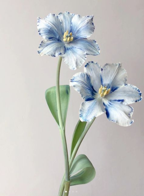 from xiaohongshu Flowers Art Reference, Floral Reference Photos, Blue Flower Types, Flower Art Reference, Flower Reference Photo, Reference Flower, Flowers Reference, Flower Portfolio, Irises Flowers