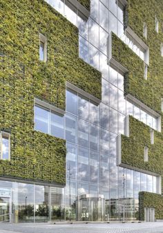 Green Building Architecture, Green Facade, Vintage Architecture, Education Architecture, Green Architecture, Cultural Architecture, Architecture Concept, Green Walls, Architecture Ideas