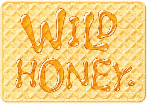 photoshop free font wild honey 2023 Songs, Honey Font, Honey Branding, Experimental Type, Bullet Journal Month, Gcse Art Sketchbook, Create Text, Kid Fonts, Hey Honey