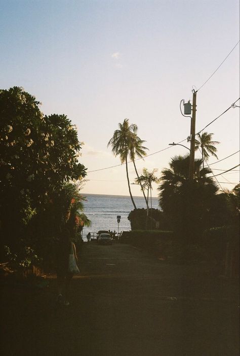 Surfer Beach Aesthetic, Grainy Beach Aesthetic, Beach On Film Aesthetic, Hawaii Aethstetic, Hawaii Film Aesthetic, Surf Film Photography, Film Beach Aesthetic, Beach Film Photography 35mm, Hawaii Film Photography