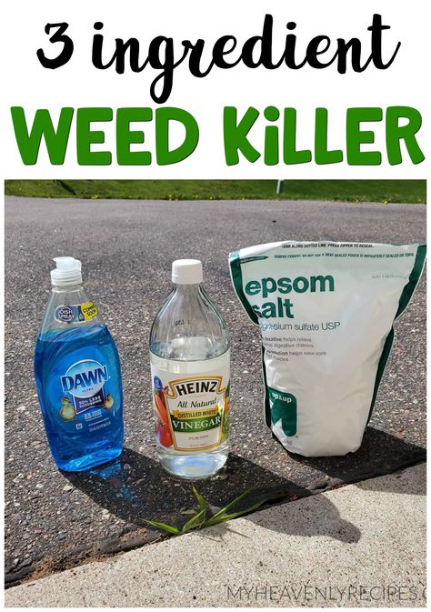 Sidewalk Cracks, Kill Weeds Naturally, Killing Weeds, Garden Remedies, Garden Weeds, Garden Yard Ideas, Yard Work, Garden Care, 3 Ingredient