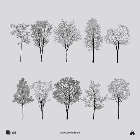 Trees For Architecture Drawing, Tree Isometric Architecture, Tree Vector Architecture, Architecture Tree Png, Tree Axonometric, Tree Section Architecture, Tree Illustration Architecture, Tree Photoshop Architecture, Tree Elevation Architecture