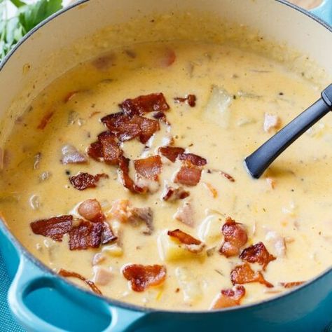 Ham And Potato Chowder, Spicy Southern Kitchen, Ham And Potato Soup, Cheesy Ham, Ham Potato, Potato Chowder, Leftover Ham Recipes, Soups And Chowders, Southern Kitchen