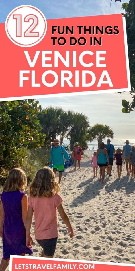 Florida At Night, What To Do In Florida, Venice Beach Florida, Florida With Kids, Florida Trips, Florida Bucket List, Florida Travel Destinations, Florida Parks, Florida Attractions