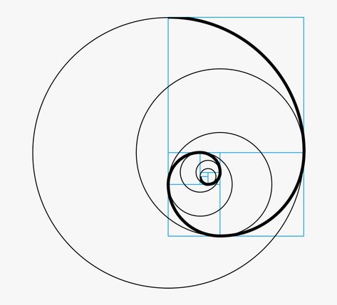 Fibonacci Circle, Fibonacci Tattoo, Sacred Tattoo, Circle Png, Circle Tattoos, Golden Spiral, Circle Logo Design, Fibonacci Sequence, Fibonacci Spiral