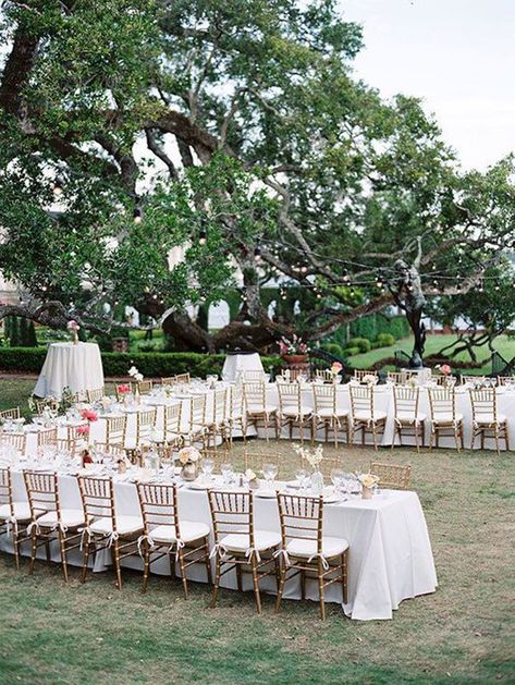 Wedding Table Layouts, Wedding Reception Layout, Reception Layout, Backyard Wedding Ceremony, Wedding Setup, Wedding Backyard Reception, Wedding Ceremony Ideas, Backyard Reception, Easy Wedding