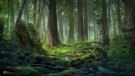 Sociolatte: Light of the Forest by Jeremy Chong Forest Backdrops, Moss Covered, Forest Background, Forest Illustration, Fantasy Forest, Tree Wallpaper, Fantasy Places, Tree Illustration, Forest Art