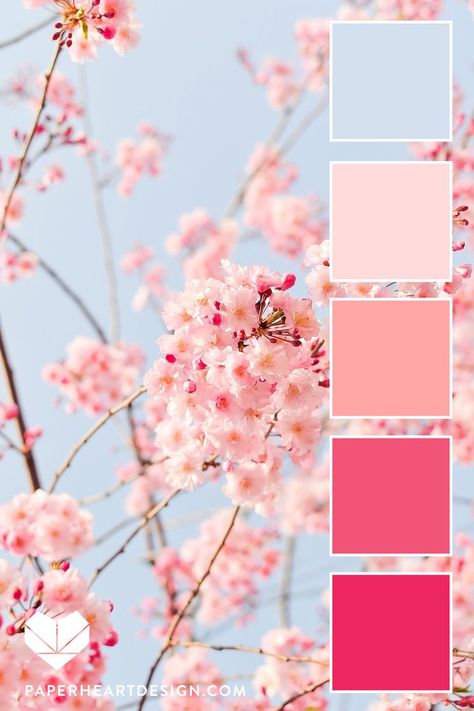 Fantastic Free of Charge Color Palette spring Ideas Regardless of whether you happen to be newbie or an oldtime fretting hand, guidelines for color is d #Charge #Color #Fantastic #Free #Ideas #Palette #spring Current Color Trends 2023, Blush Pink Palette Color Schemes, Pink Spring Color Palette, Colors Of Pink Shades, Cherry Blossom Decor Bedroom, Pink And Blue Pallet, Pink Blue Color Scheme, Colors That Go With Blush Pink, Lively Color Palette