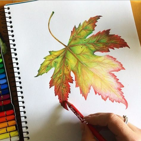 Work in progress drawing of an Autumn leaf by Jess Elford 🍁🍂 drawn with polychromo pencils Drawing Classes, Pencil Techniques, Sunflower Dress, Pencil Artwork, Colored Pencil Artwork, Journal Lettering, Bracelet Craft, Colored Pencil Techniques, Watercolor Projects