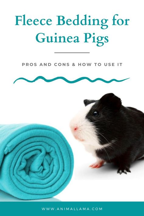 fleece bedding for guinea pigs Fleece Bedding, Guinea Pig Bedding, Pig Stuff, Guinea Pig Cage, Fabric Bed, Diy Bed, Small Pet, Hamsters, Rodents