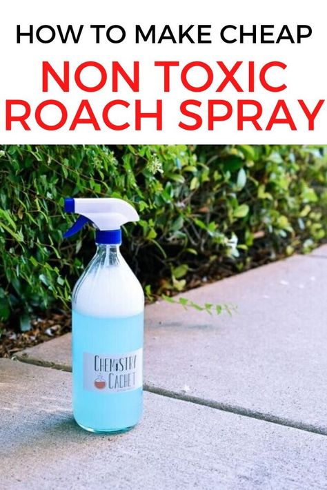 Kill Roaches Naturally, Roach Spray, Diy Bug Repellent, Home Pest Control, Homemade Bug Spray, Ant Spray, Kill Roaches, Diy Bug Spray, Bug Spray Recipe