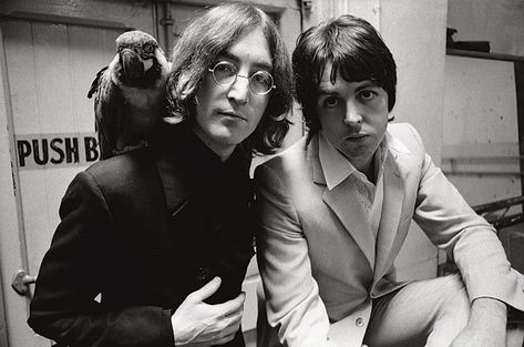 John, Paul, and Polly Don Mccullin, Paul And John, John And Paul, Beatles Rare, Rock & Roll, Lennon And Mccartney, The White Album, John Lennon Beatles, Beatles Photos