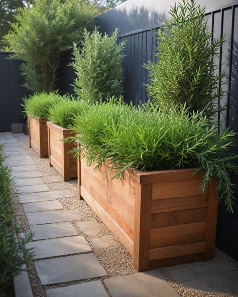 15 Best Shrubs For Planter Boxes Raise Planter Boxes, Diy Wood Planter Boxes Front Porches, Planter Box In Front Of House, Landscaping With Large Pots, Planter Boxes Front Of House, Plants For Planter Boxes, Planter Boxes Along Fence, Privacy Planter Boxes, Window Planter Ideas