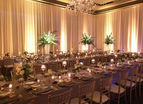 Pipe And Drape Wedding, Secret Garden Decor, Wedding Draping Backdrop, South Florida Wedding Venues, Drapery Wedding, Prom Masquerade, Shades Of Dusty Blue, Ballroom Decor, Reception Ceiling