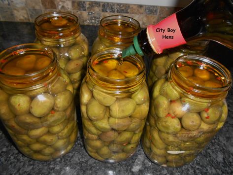 Pickled Seafood, Curing Olives, Achar Recipe, Pickled Olives, Olive Brine, Canning Kitchen, Fresh Olives, Homestead Recipes, Marinated Olives