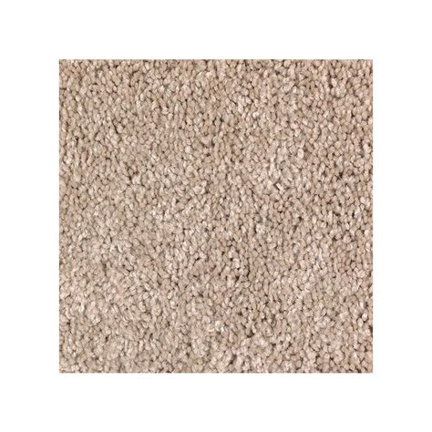 The Best Carpet for Pets of 2022 - Top Picks by Bob Vila Best Carpet For Pets, Textured Carpet, Bob Vila, Hallway Carpet, Beige Carpet, Types Of Carpet, Pet Odors, Best Carpet, Wall Carpet