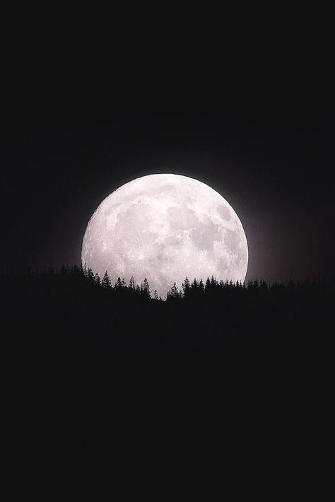 Mystical Photos, Moon Beauty, Exploration Photography, Rising Moon, Chris Williams, Luna Moon, Shoot The Moon, Moon Pictures, Moon Rising