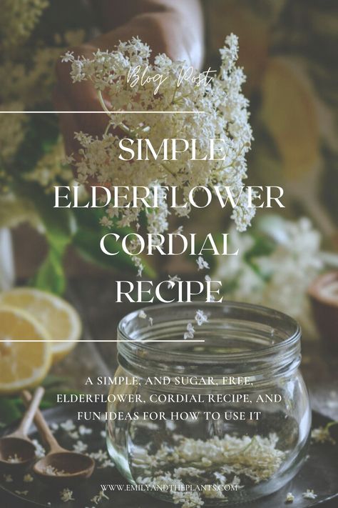 Elderflower Cordial Recipe, Homemade Cordial, Medical Garden, Elderflower Recipes, Elderflower Champagne, Cocktail Bar Design, Elder Flower, Cordial Recipe, Elderflower Cordial