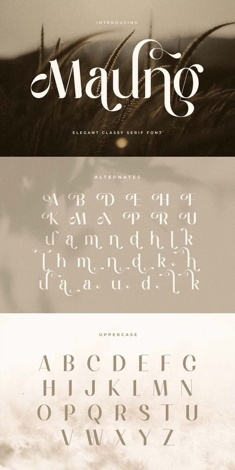 Feminine Fonts Alphabet, Romantic Serif Fonts, Font Logo Ideas, Natural Fonts Typography, Classy Fonts Alphabet, Elegant Font Logo, Flowy Typography, Flowy Fonts, Serif Fonts Alphabet