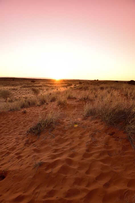 Northern Cape South Africa, Desert Inspo, Ios Background, Photos In Nature, Kalahari Desert, Sand Storm, Luxe Travel, Northern Cape, Desert Oasis