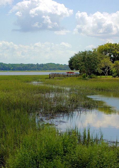 South Carolina Lowcountry, Beaufort South Carolina, Main Point, In The Navy, Country Landscaping, 수채화 그림, Hot And Humid, Travel Design, Low Country